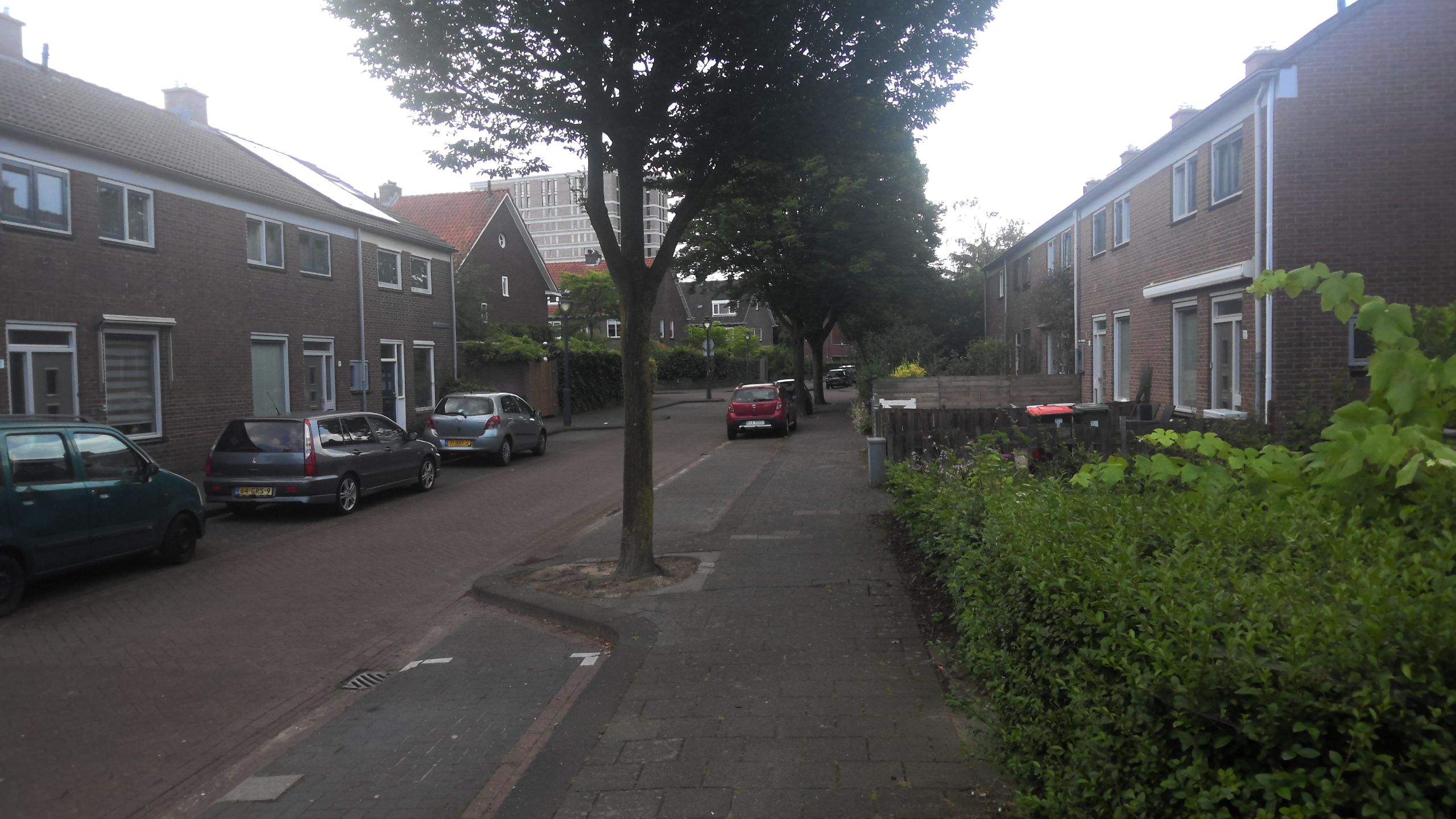 Leonardus van Veghelstraat 26