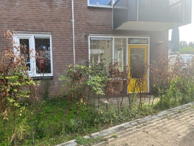 Hertog Janstraat 44